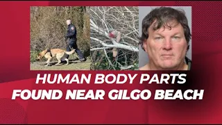 Gilgo Beach Serial killer Strikes Again?