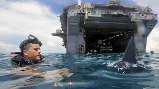 What happens when Sharks are too close to an US Navy Aircraft Carrier