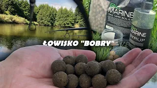 AMUR jak torpeda / CO tam się STAŁO? / Łowisko "BOBRY" / NIE było tak jak chcieliśmy / Stan.3