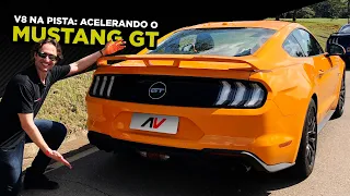 🏇V8 na Pista: Aceleramos (e sentimos a EMOÇÃO) do MUSTANG GT Premium no circuito Ford - Papo Rápido