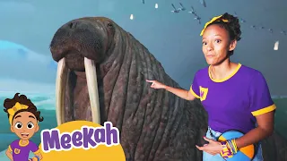 Meekah’s Dino Discovery | Kids Fun & Educational Cartoons | Moonbug Play and Learn