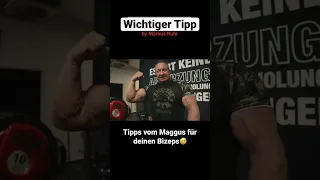 BIZEPS TIPPS VOM MAGGUS 😅 #fitnessmotivation #bodybuilding #gym #bizpes #muskelaufbau #rühl