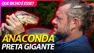 UMA SUCURI PRETA GIGANTE! | RICHARD RASMUSSEN