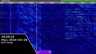 The Goose | 3243kHz | Monolith Voice Message | 2024.02.26