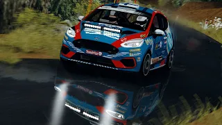 Assetto corsa:Ford fiesta rally4/simtraxx drazgose