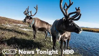 “Drunken Forests” In Alaska Are Another Sign Of Melting Permafrost (HBO)