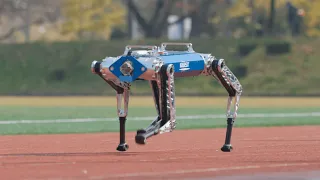 KAIST Hound, a Quadruped Robot 100m World Record