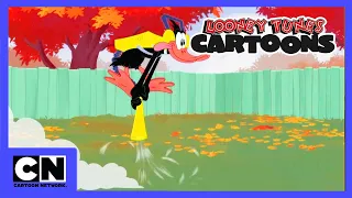 Zwariowane Melodie | Praca w ogrodzie to ciężka praca | Cartoon Network