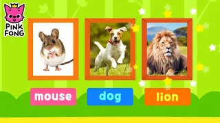 Pinkfong Word Power App l Animal & Nature Vocabulary l Best Learning Apps for Toddlers