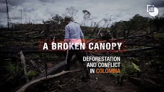A Broken Canopy: Deforestation and Conflict in Colombia