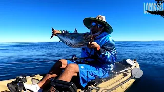 PESCA EN KAYAK LOS CABOS.bonitas y barrigones  EN LA PAZ B C S