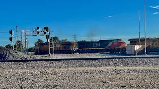 Railfanning at the Stockton Diamonds w/ UP, BNSF, Amtrak, & ACE Trains ft a CN C44-9W!