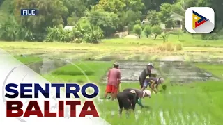 Panukalang Anti-Agricultural Economic Sabotage Act na magpapalakas sa batas vs. agri-smuggling...