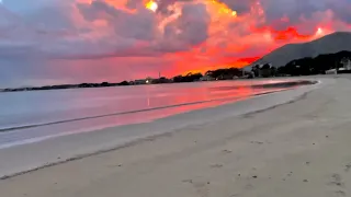 Port de Alcudia 💛 schöner Strand 🏖️ Baden vom feinsten 💛 Mallorca TOP Urlaub 🇪🇸 Sunset 🌅 🥂 💛