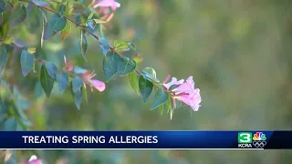 Spring is just around the corner. What to expect this allergy season