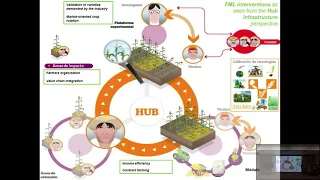 Farmer-market linkages in the context of  SI systems