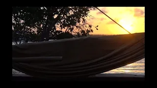 watamu mangroves