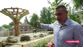 День слона в Київзоо: Оновлений літній вольєр з «Баобабом»