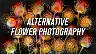 Alternative Flower Photography with Harold Davis