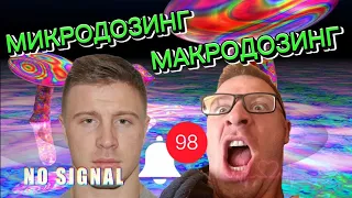 Мухомор. МИКРОДОЗИНГ или МАКРОДОЗИНГ. Что лучше ? Трип. Пантерный. @gribpantera