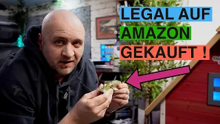 Selbstschussanlage legal im internet gekauft ? Schwiegermütter hassen diesen Trick !