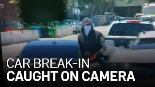 Car Burglary Caught on Camera in San Francisco