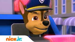 PAW Patrol Chase Leads a Police Rescue! 🚔 w/ Marshall, Skye & Rocky | Nick Jr.