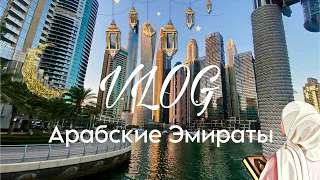 Наш СЕМЕЙНЫЙ VLOG из ОАЭ/ ДУБАЙ, ФУДЖЕЙРА и ОЧЕНЬ много КРАСОТЫ🇦🇪🌙