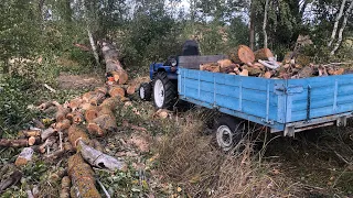 Набрав прицеп безкоштовних дров, розказую показую де і як