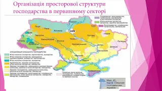 Географія. 11 клас. Сучасні риси глобальної економіки України.  Просторова оргпнізація виробництва