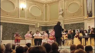 Гусляры из Софрино выступили на фестивале в Санкт-Петербурге