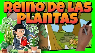 🥀 El REINO de las PLANTAS: sus CARACTERÍSTICAS y CLASIFICACIÓN