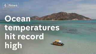 Extreme weather: World’s ocean temperatures hit record high in 2020