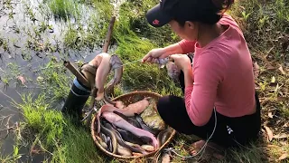 Unbelievable Fishing - Unique Fish Trapping System - New Technique Of Catching Lot Of Big Fish