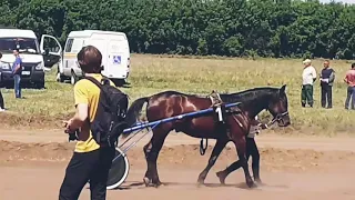 ОТКРЫТИЕ СЕЗОНА РЫСАКИ 3ХЛЕТ ПЕТРОПАВЛОВСК ИППОДРОМ КУЛАГЕР