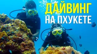 ДАЙВИНГ НА ПХУКЕТЕ - РЫБА ОТКУСИЛА УХО (DIVING PHUKET) ☼