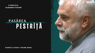 Vladimir Pustan | Pasărea pestriță | Cireșarii TV | 07.04.2024 | BST Beiuș