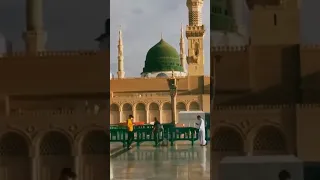 Pohancho Dar e Sarkar Pe #ytshorts #syedhassanullahhussaini #naatstatus #trending #emcs