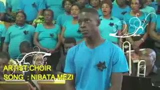 Nibata Mezi - NAC