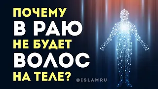 Почему в Раю не будет волос на теле?