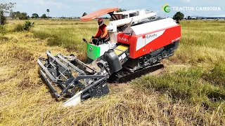 Best Activities Full Process Combine KUBOTA Harvester DC108X Operator Techniques Harvesting Rice