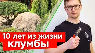 ИДЕАЛЬНАЯ ХВОЙНАЯ КОМПОЗИЦИЯ В САДУ! Как менялась клумба из хвойных в течение 10 лет (реальные фото)