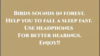 Birds sound helps you to fall a sleep fast.