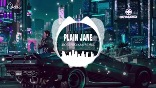 Plain Jane - Roberto Kan Remix / Nhạc nền Hot Tiktok / Tiktok Music
