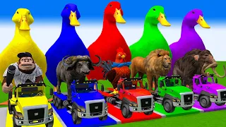 5 Giant Duck, Monkey, Piglet, chicken, dog, mammoth, sheep, zebra, Transfiguration funny animal 2024