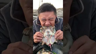 Amazing Eat Seafood Lobster, Crab, Octopus, Giant Snail, Precious Seafood🦐🦀🦑Funny Moments 25