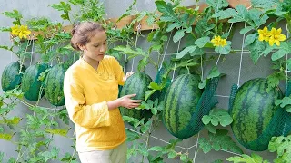 Harvesting WATERMELONS, Harvesting PUMPKINS...Goes To The Market Sell - Making garden / Cooking