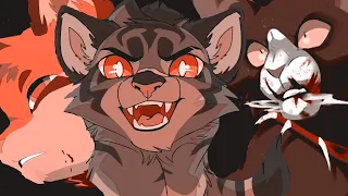 Warrior Cats //Sasegeye//