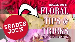 How to Care for Orchids, Roses, & Hydrangeas | Tips & Tricks for Trader Joe's Flowers