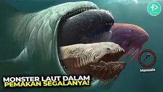 Megalodon Menciut Jika Ketemu Makhluk Ini! Monster Penghuni Laut Dalam yang Sangat Mengerikan